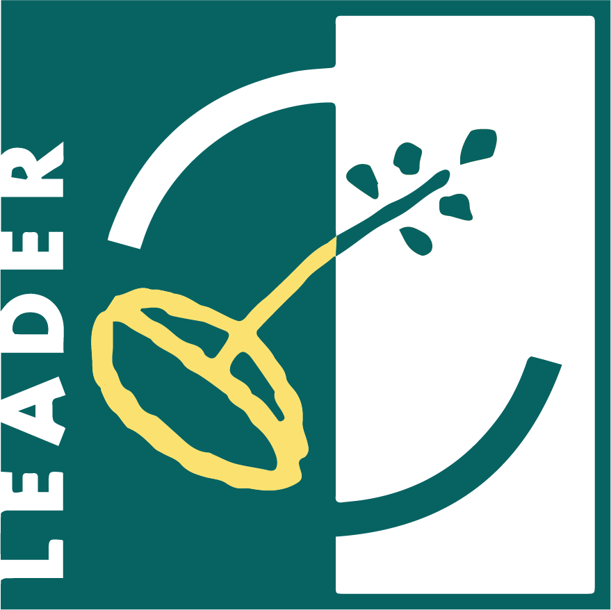 logo LEADER web
